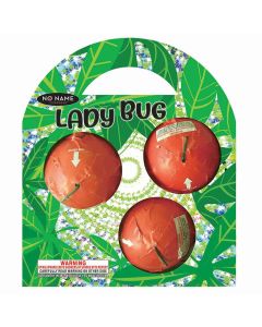 NN0803-lady-bug